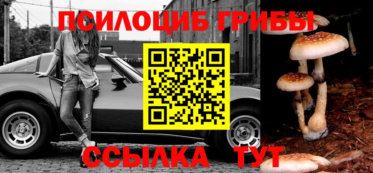 Псилоцибиновые грибы Psilocybe  Вход с VPN  Копейск  Галлюциногенные грибы прущие грибы 