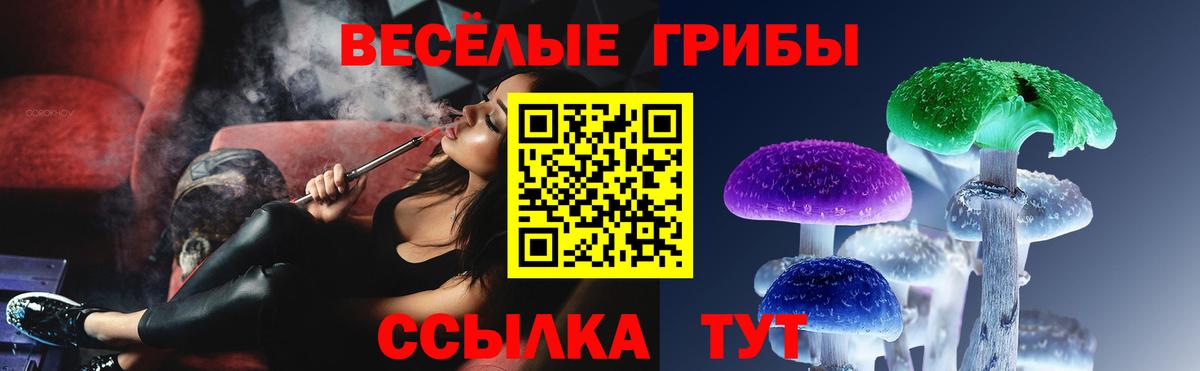 Галлюциногенные грибы Psilocybine cubensis Копейск
